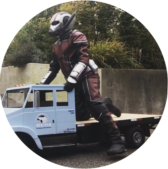 The travelling ant